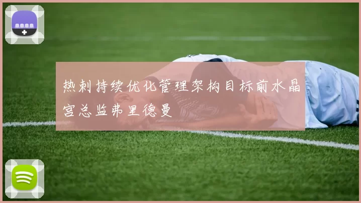 热刺持续优化管理架构目标前水晶宫总监弗里德曼